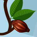 Solange Kakao an Bäumen wächst, ist Schokolade für mich Obst.